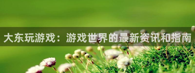 顺盈娱乐登录平台是什么意思：大东玩游戏：游戏世界的最新资讯和指南