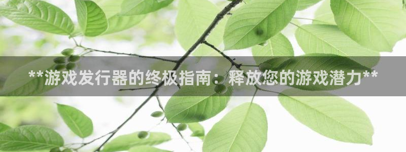 顺盈商贸有限公司：**游戏发行器的终极指南：释放您的游戏潜力**