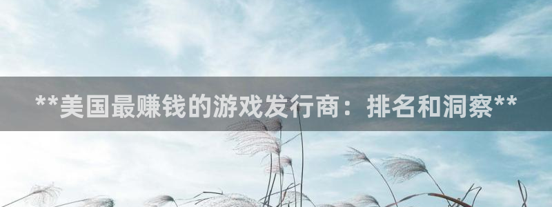 顺盈平台注册地址在哪：**美国最赚钱的游戏发行商：排名和洞察**