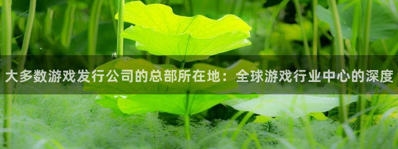 顺盈娱乐登录平台是什么平台啊：大多数游戏发行公司的总部所在地：全球游戏行业中心的深度