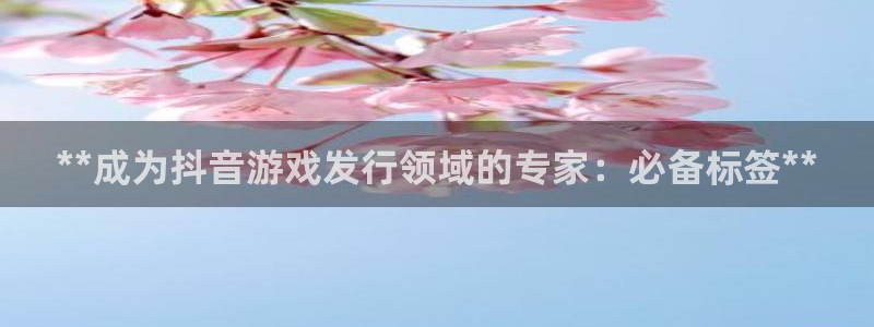 顺盈娱乐平台注册流程图片下载：**成为抖音游戏发行领域的专家：必备标签**