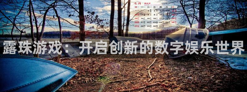 顺盈娱乐平台注册流程图片