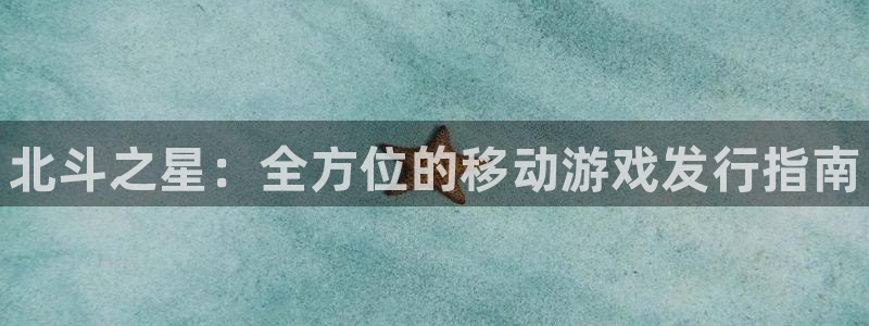 顺盈网络科技有限公司招聘：北斗之星：全方位的移动游戏发行指南