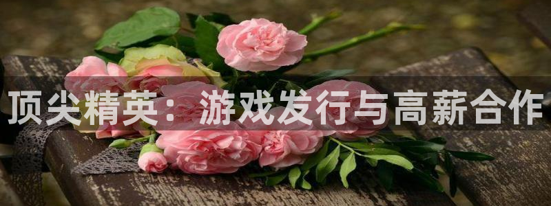 顺盈实业