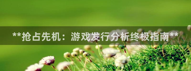 顺盈娱乐登录平台是什么意思：**抢占先机：游戏发行分析终极指南**