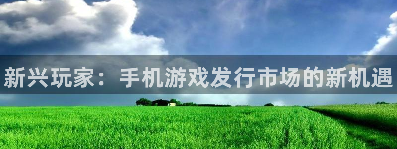 顺盈娱乐登录平台是什么平台啊：新兴玩家：手机游戏发行市场的新机遇