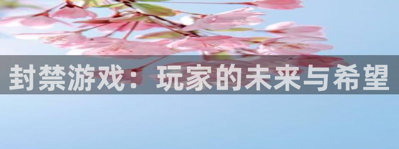 顺盈娱乐违法吗是真的吗：封禁游戏：玩家的未来与希望