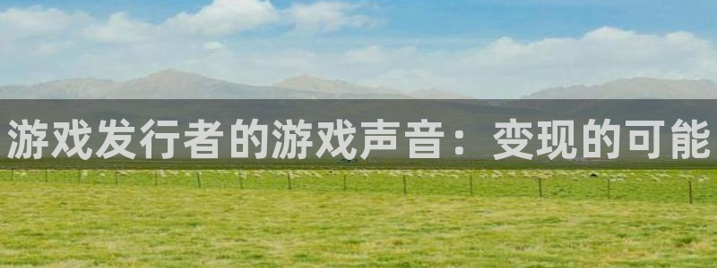 顺盈平台注册开户：游戏发行者的游戏声音：变现的可能