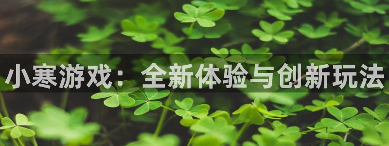顺盈培训怎么样：小寒游戏：全新体验与创新玩法