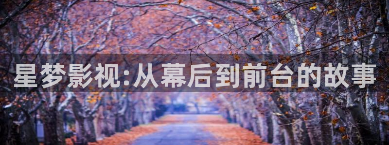 米奇奇米影视